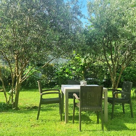 Apartments Krstos Place Kotor Ngoại thất bức ảnh