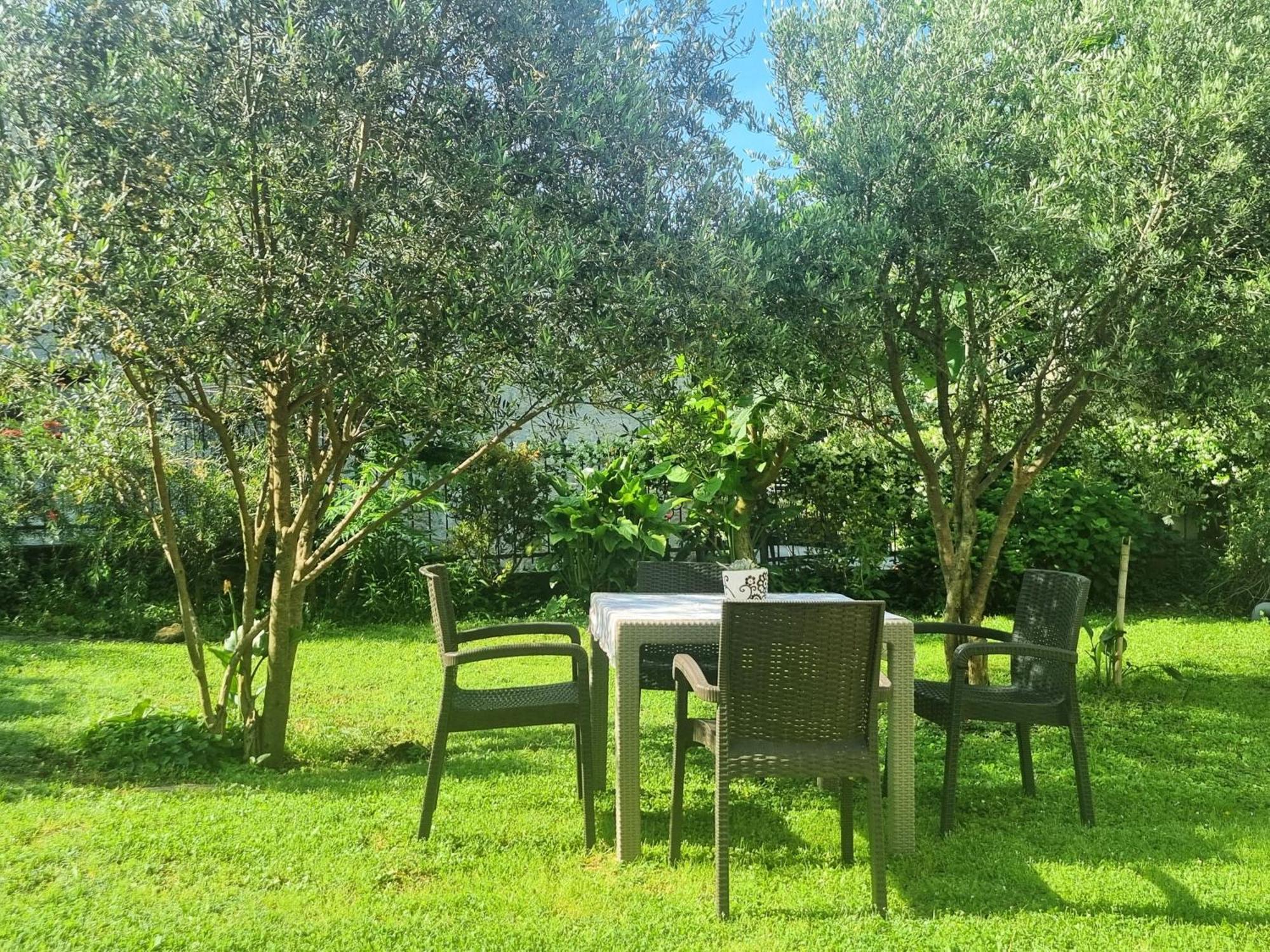 Apartments Krstos Place Kotor Ngoại thất bức ảnh